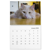 Calendrier des chats modernes HAMbyWG (Jan 2026)
