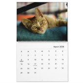 Calendrier des chats modernes HAMbyWG (Mar 2026)