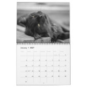 Calendrier des chats noirs (Jan 2027)