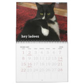 Calendrier des chats Oh Hai (Feb 2026)