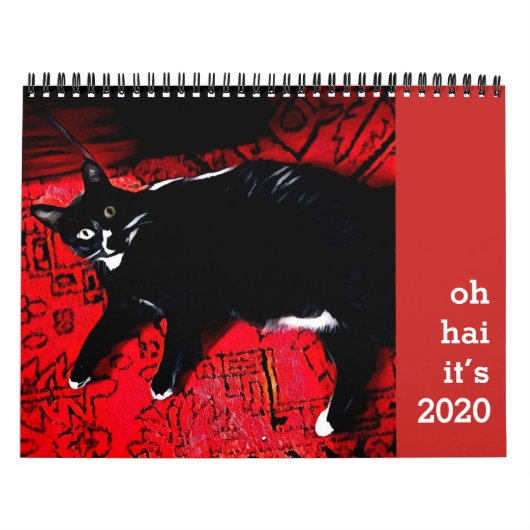 Calendrier des chats Oh Hai (Protection)