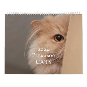 Calendrier des chats Peekaboo