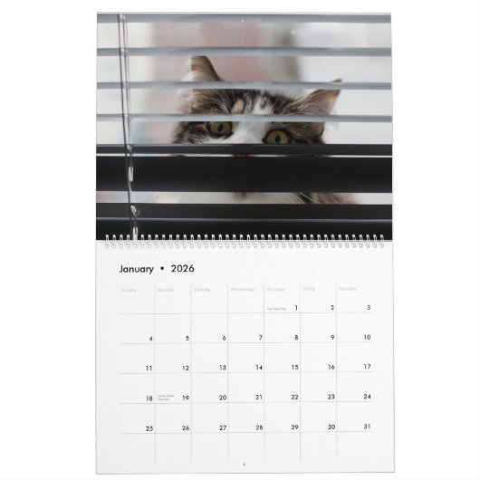 Calendrier des chats Peekaboo (Jan 2026)