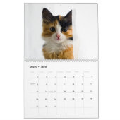 Calendrier des chats Peekaboo (Mar 2026)