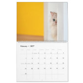 Calendrier des chats Peekaboo (Feb 2027)