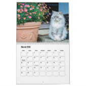 Calendrier des chats persans (Mar 2026)