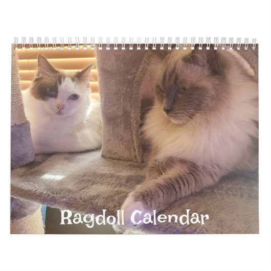 Calendrier des chats Ragdoll (Protection)