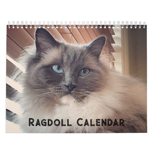 Calendrier des chats Ragdoll (Protection)