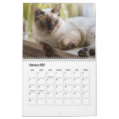 Calendrier des chats Ragdoll (Feb 2027)