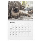 Calendrier des chats Ragdoll (Mar 2026)