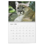 Calendrier des chats sauvages Cougar (Mar 2026)