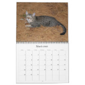 Calendrier des chats Serval Savannah (Mar 2026)