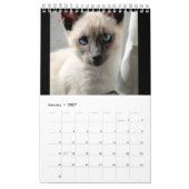 Calendrier des chats siamois (Jan 2027)