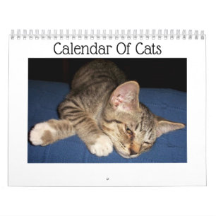 Calendrier des chats Tabby