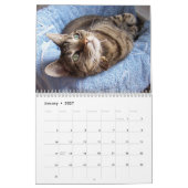 Calendrier des chats Tabby (Jan 2027)