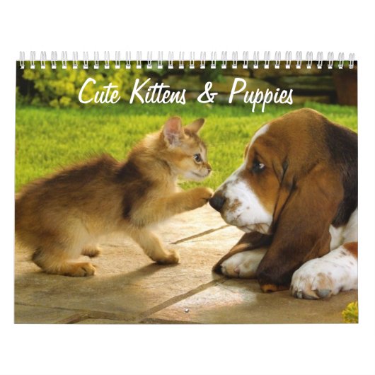 Calendrier des chattes et chiots (Protection)