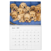 Calendrier des chattes et chiots (Mar 2027)