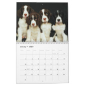 Calendrier des chattes et chiots (Jan 2027)