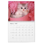 Calendrier des chattes et chiots (Feb 2027)