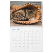 Calendrier des Chattes Fatiguées (Mar 2027)