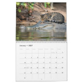 Calendrier des Chattes Fatiguées (Jan 2027)