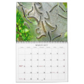 Calendrier des chenilles (Mar 2027)