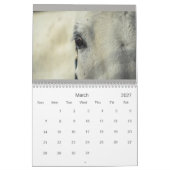Calendrier des chevaux (Mar 2027)