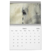 Calendrier des chevaux (Mar 2026)