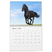 Calendrier des chevaux (Feb 2026)
