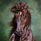 Calendrier des Chevaux 2023 JNS