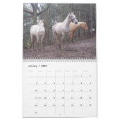Calendrier des chevaux de la vie rurale (Jan 2027)