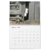 Calendrier des chevaux de la vie rurale (Feb 2027)