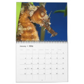 Calendrier des chevaux de mer et des dragons (Jan 2026)