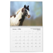 Calendrier des Chevaux de peinture 2025 Photograph (Jan 2026)