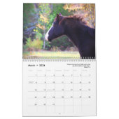 Calendrier des Chevaux de peinture 2025 Photograph (Mar 2026)