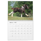 Calendrier des Chevaux de Vanner tziganes (Feb 2027)