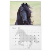 Calendrier des chevaux friésiens (Feb 2027)