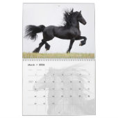 Calendrier des chevaux friésiens (Mar 2026)