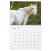 Calendrier des Chevaux sauvages (Jan 2026)