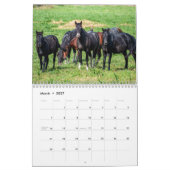 Calendrier des Chevaux sauvages (Mar 2027)