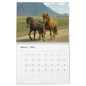 Calendrier des Chevaux sauvages (Feb 2026)