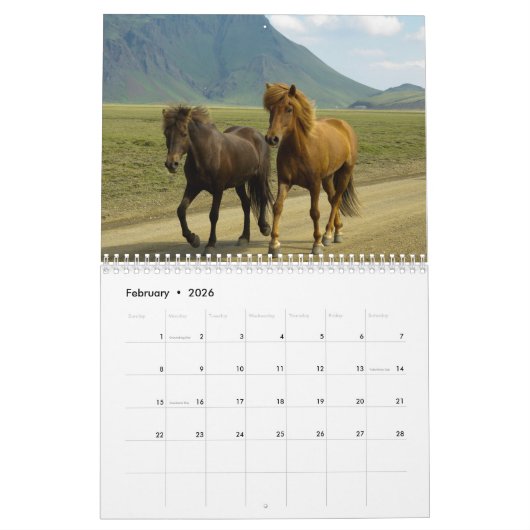 Calendrier des Chevaux sauvages (Feb 2026)