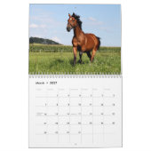 Calendrier des Chevaux sauvages (Mar 2027)