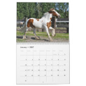 Calendrier des Chevaux sauvages (Jan 2027)