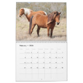 Calendrier des chevaux sauvages d'Assateague (Feb 2026)