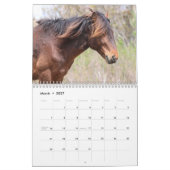 Calendrier des chevaux sauvages d'Assateague (Mar 2027)