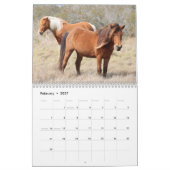 Calendrier des chevaux sauvages d'Assateague (Feb 2027)