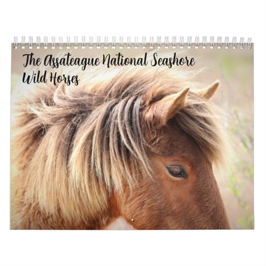 Calendrier des chevaux sauvages d'Assateague (Protection)