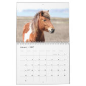 Calendrier des chevaux sauvages d'Assateague (Jan 2027)