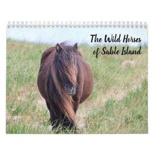 Calendrier des chevaux sauvages de l'île de Sable (Protection)